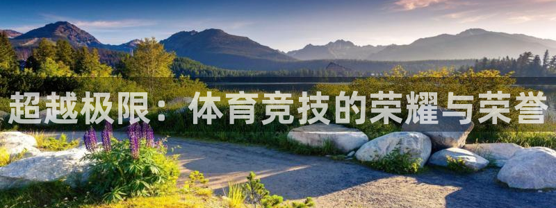 betway西汉姆官网：超越极限：体育竞技的荣耀与荣誉