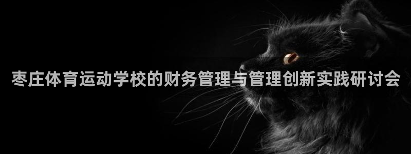 betway西汉姆联：枣庄体育运动学校的财务管理与管理创新实践研讨会