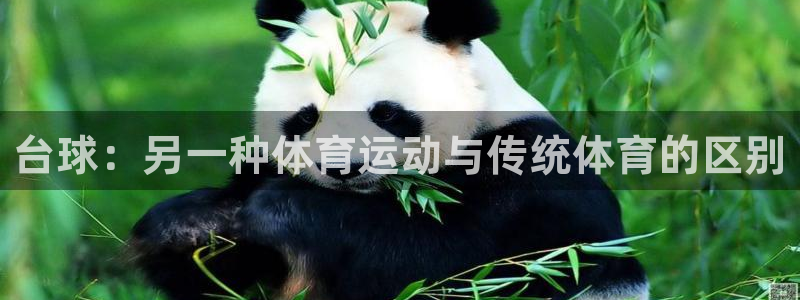 betway西汉姆联：台球：另一种体育运动与传统体育的区别