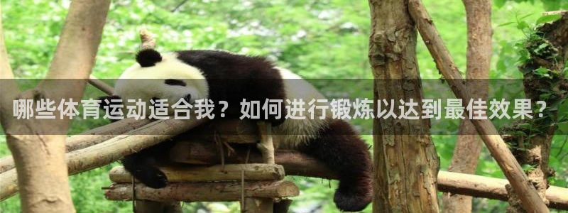 betway西汉姆：哪些体育运动适合我？如何进行锻炼以达到最佳效果？