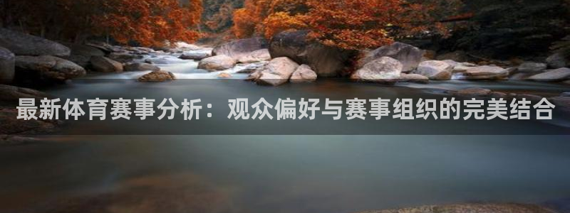 betway西汉姆官网：最新体育赛事分析：观众偏好与赛事组织的完美结合