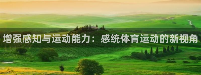 betway西汉姆：增强感知与运动能力：感统体育运动的新视角