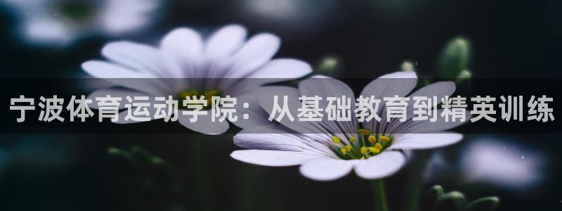 必威betway西汉姆联