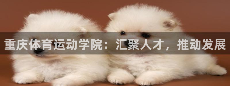 必威betway西汉姆联：重庆体育运动学院：汇聚人才，推动发展