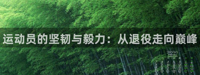 betway西汉姆官网：运动员的坚韧与毅力：从退役走向巅峰
